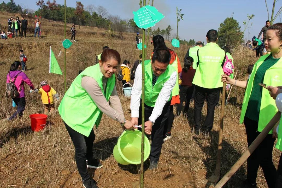 天嬌集團開展義務植樹活動