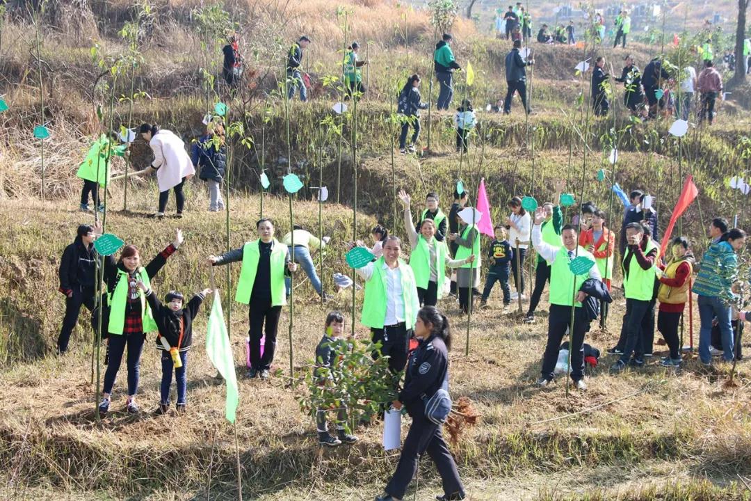 天嬌集團開展義務植樹活動